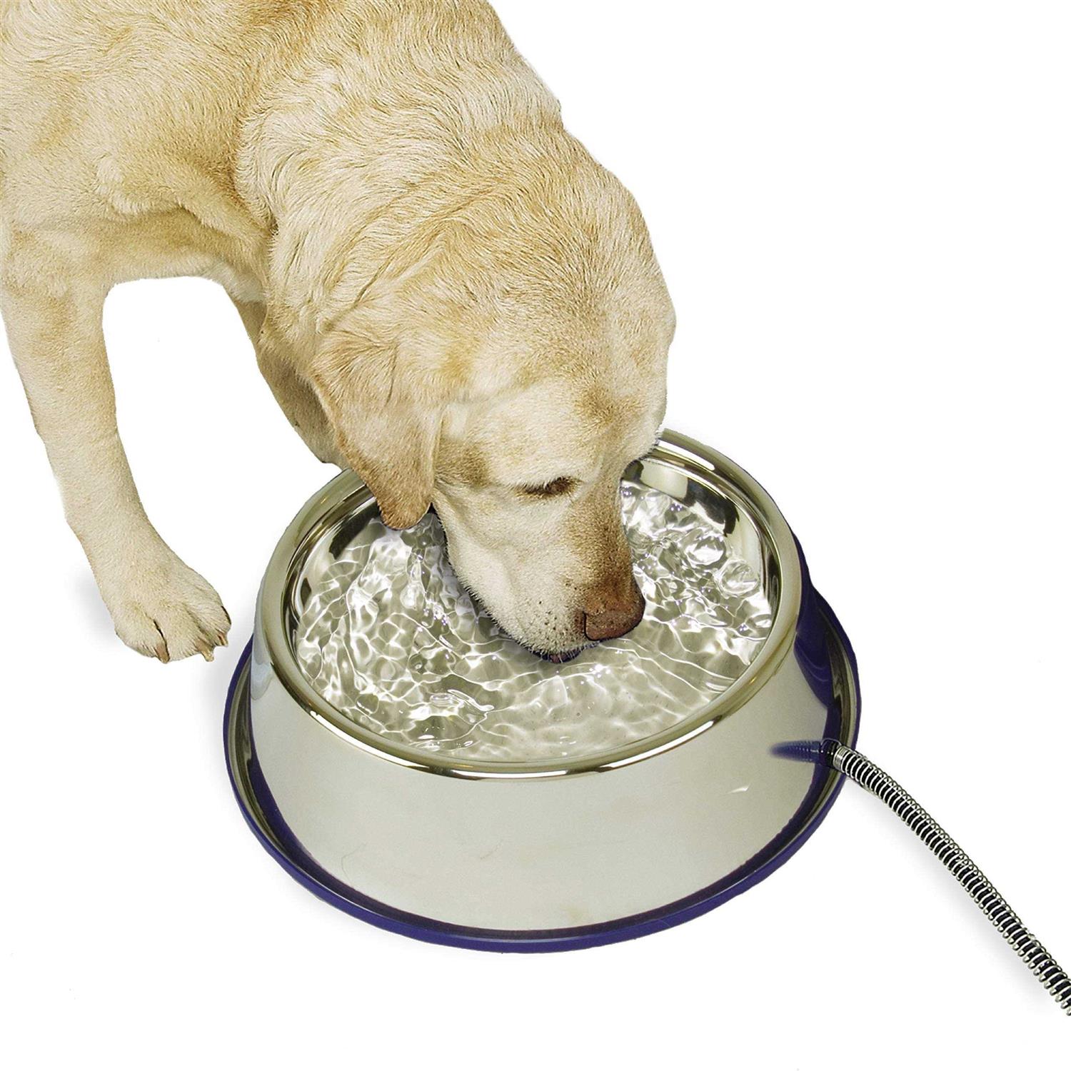 K&H Pet Products Thermal-Bowl Stainless Steel Cat & Dog Bowl