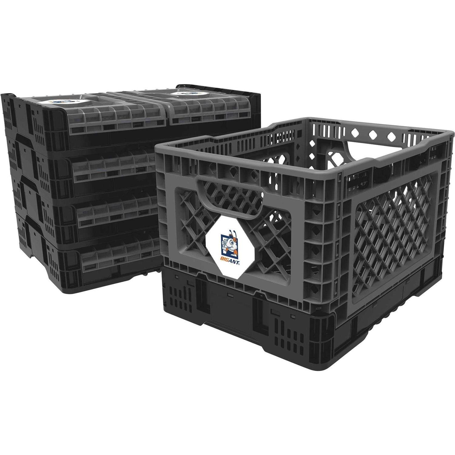 Big Ant IP543630G Medium Collapsible Crate