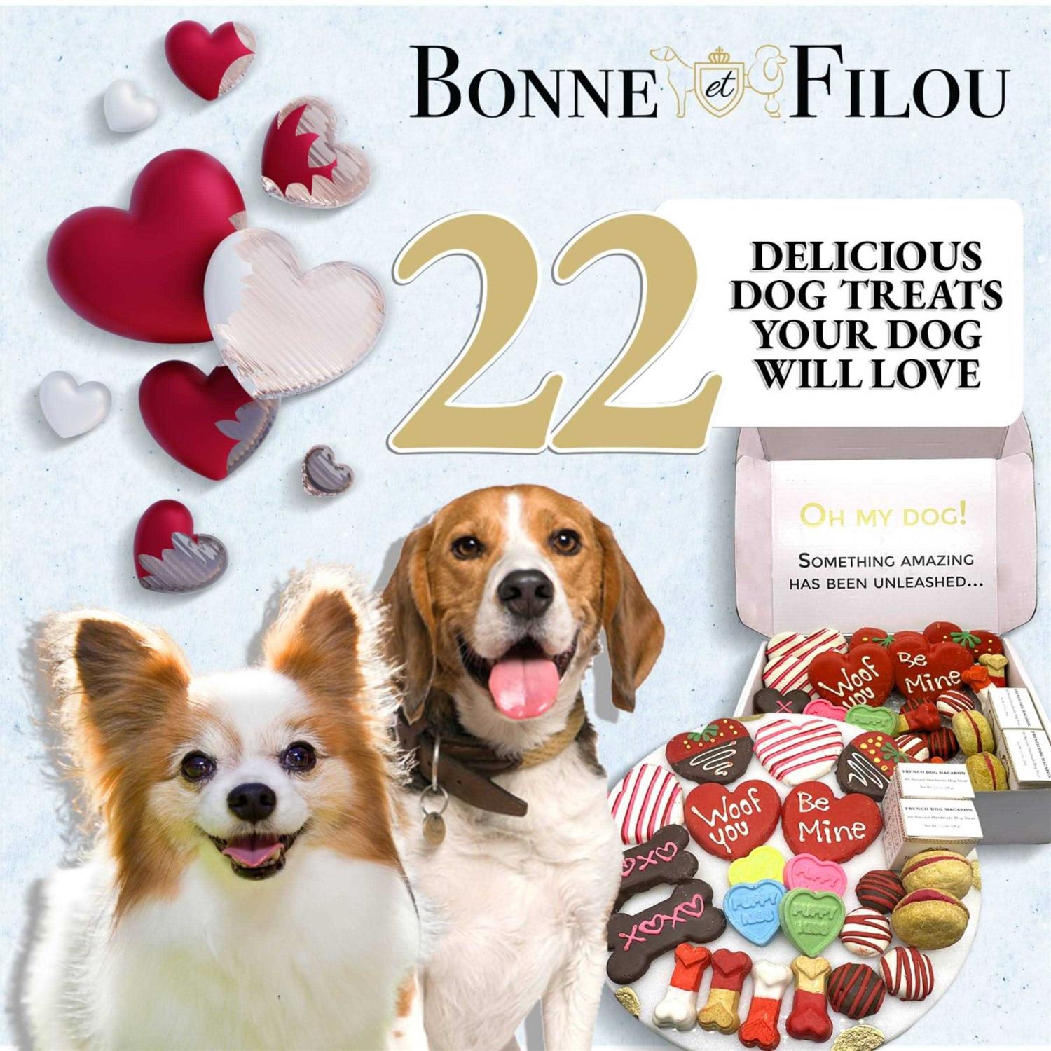 Bonne et Filou I Love My Dog Treats Box