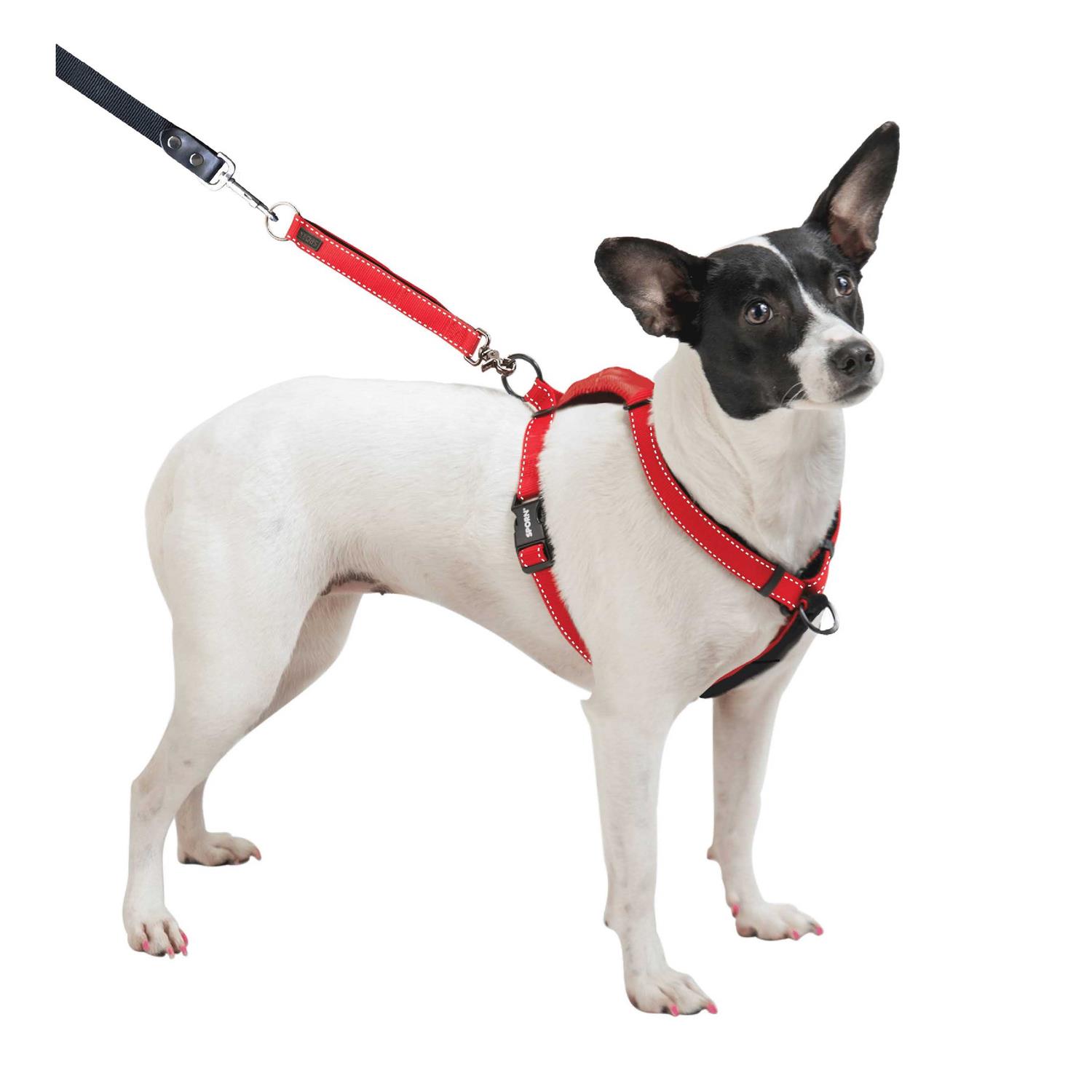 Sporn Ultimate Control Harness