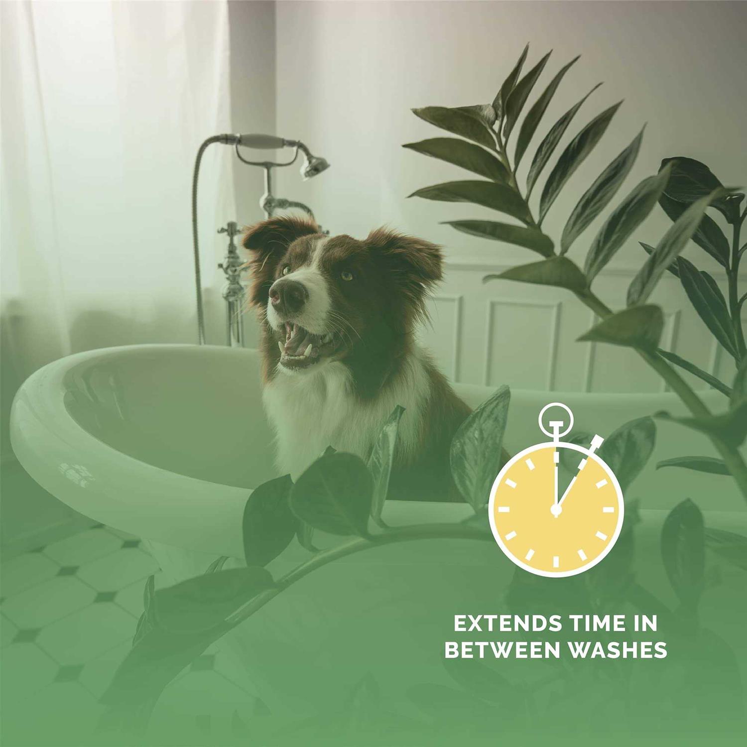 Bark2Basics Salon Scents Pet Cologne 8 oz