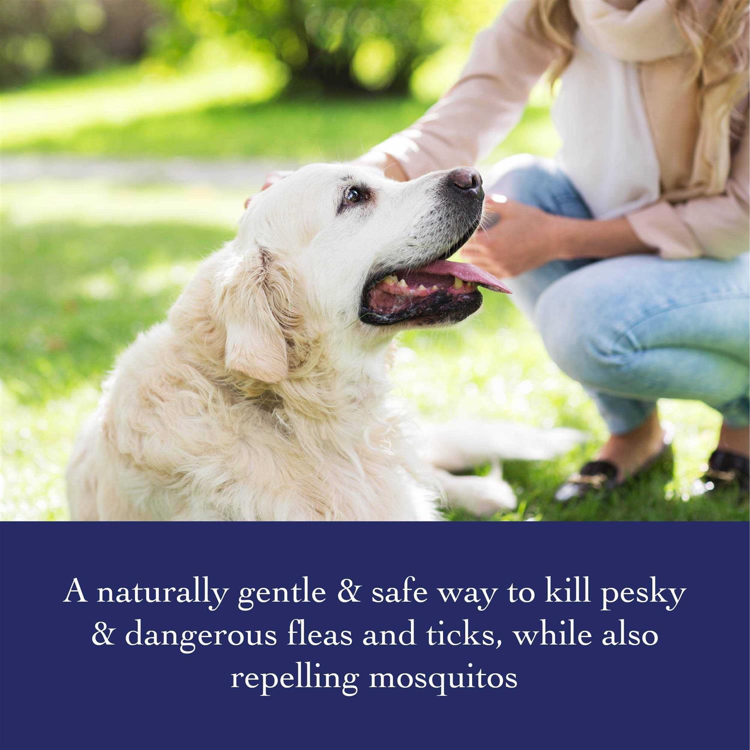 Richard’s Organics Flea & Tick Shampoo