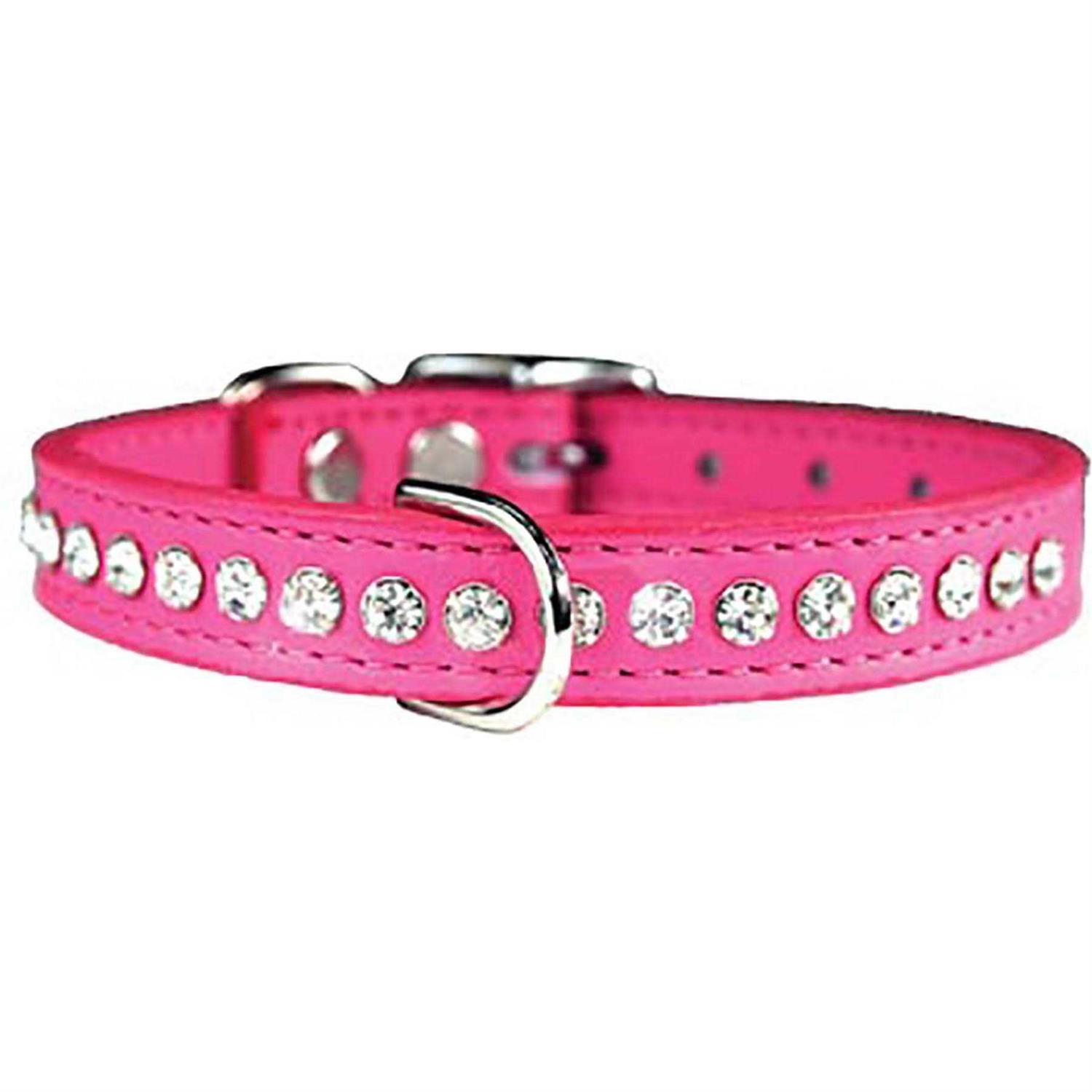OmniPet Signature Leather Dog Collar