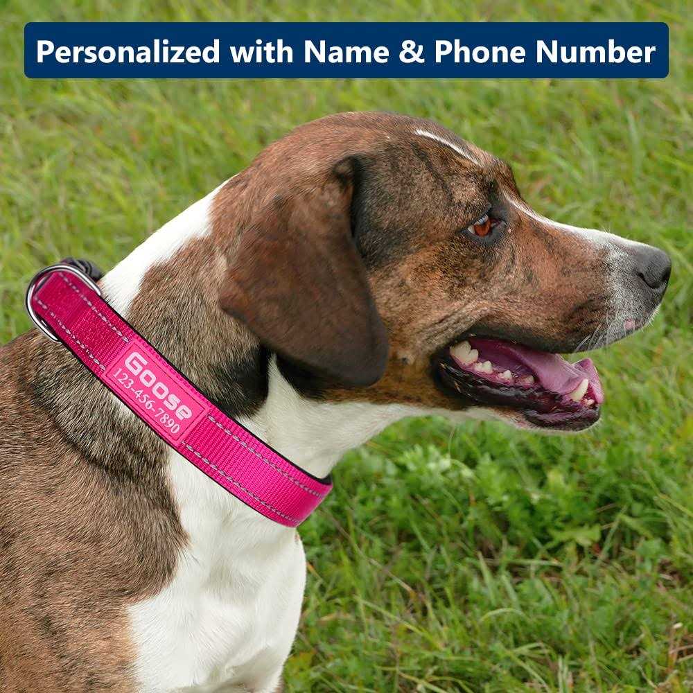 Personalized Dog Collars Custom with Pet Name and Phone Number Soft Neoprene Padded Reflective Nylon Collar