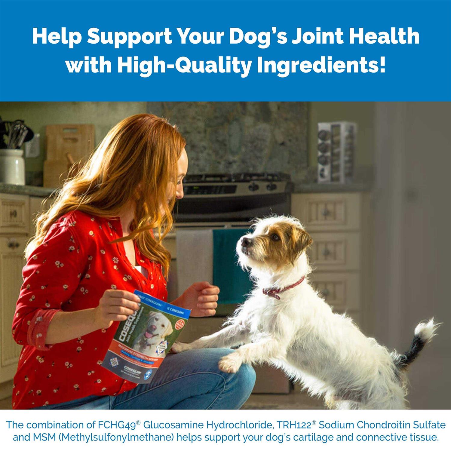 Cosequin Maximum Strength Plus MSM & HA for Dogs