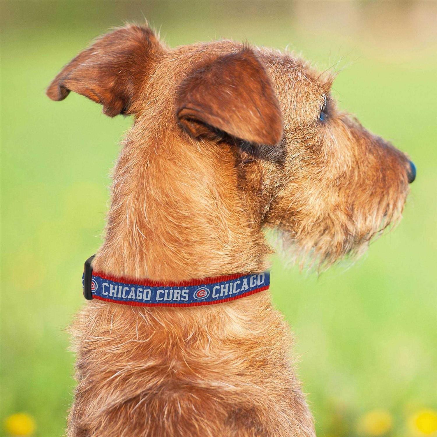 MLB Chicago Cubs Dog Collar