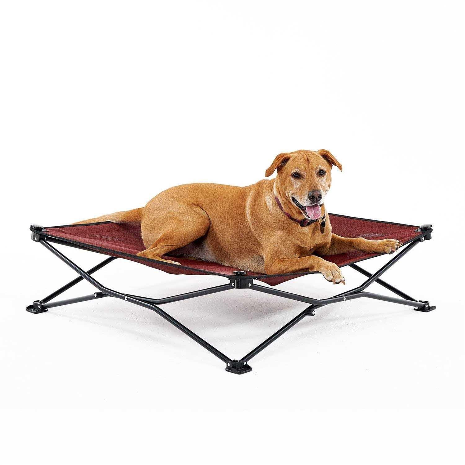 Coolaroo On-the-Go Elevated Pet Bed