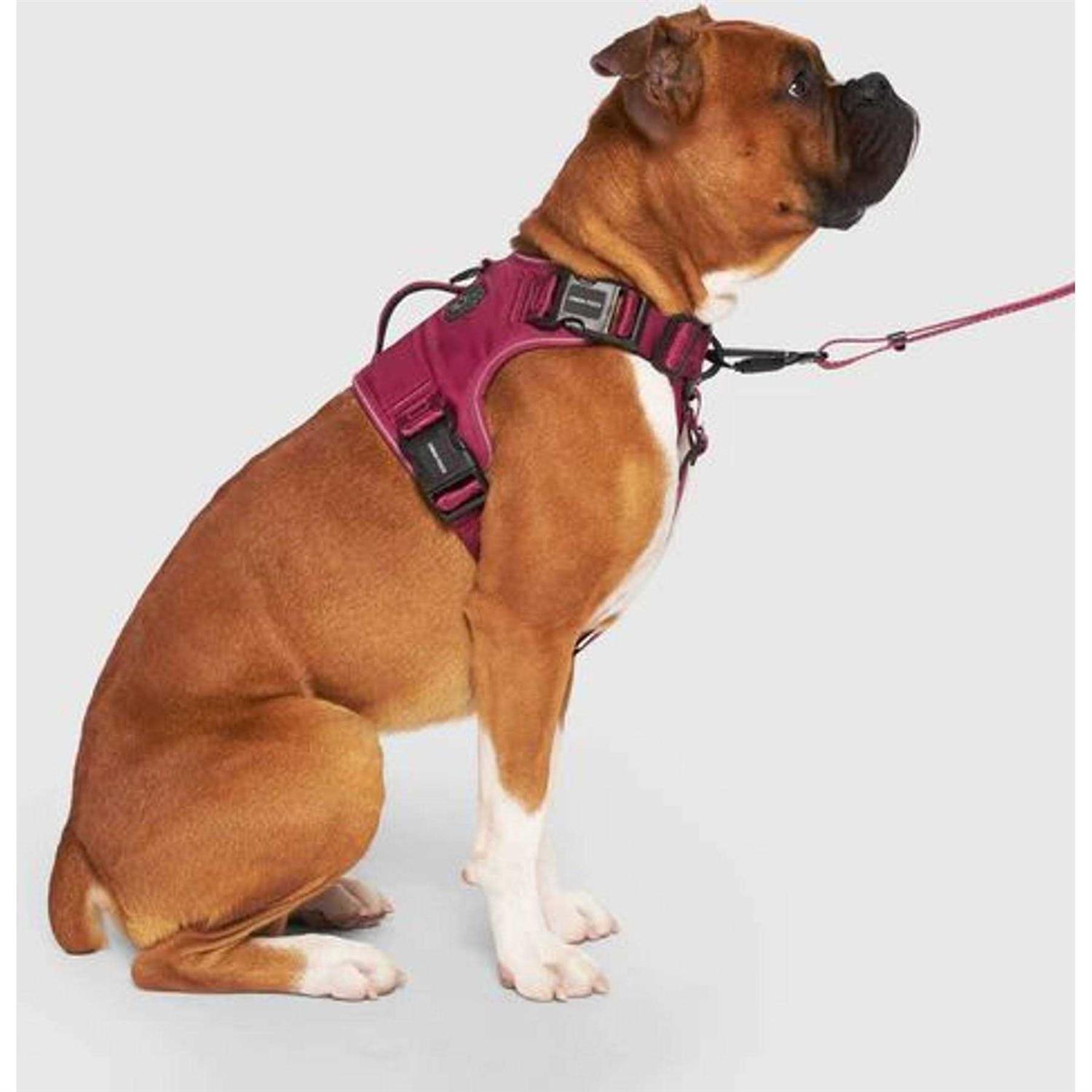 Canada Pooch Complete Control Dog Harness