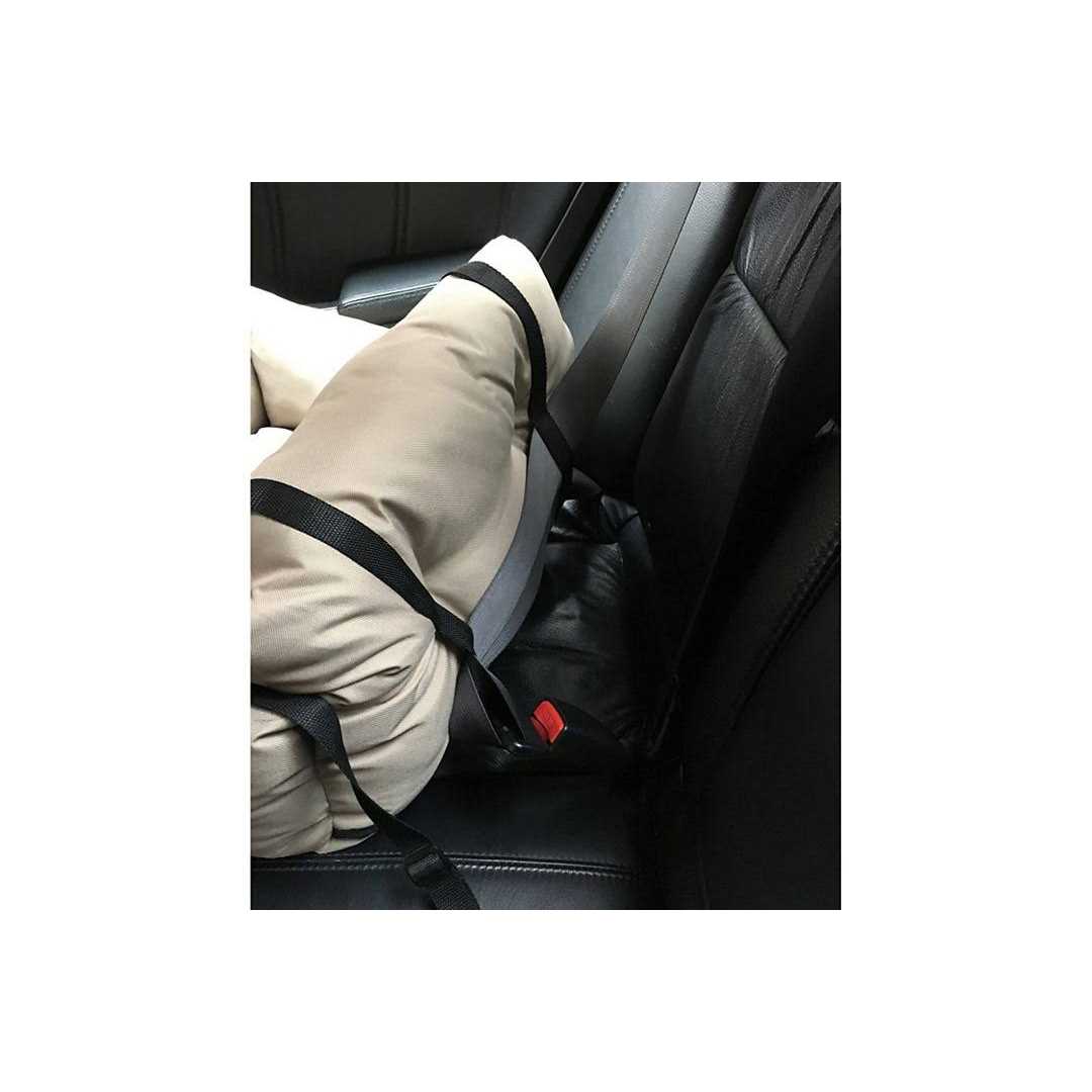 Precious Tails Travel Pet Bed