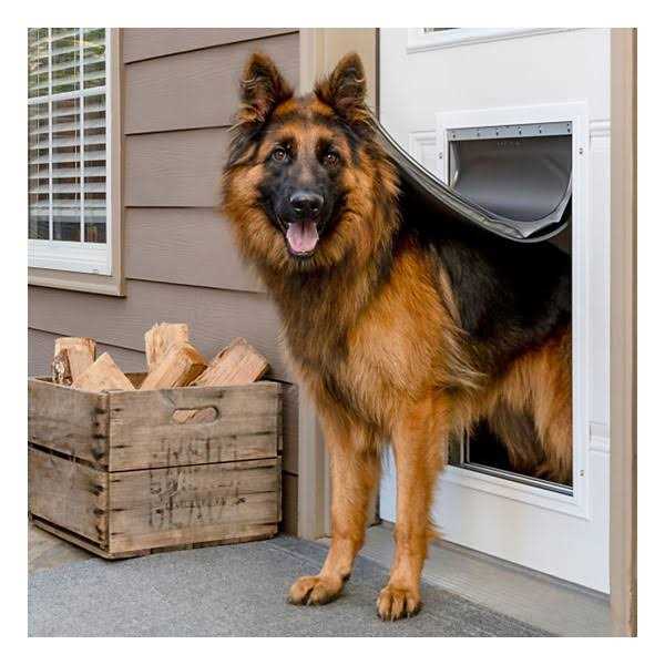 Extreme Weather Aluminum Pet Door PetSafe