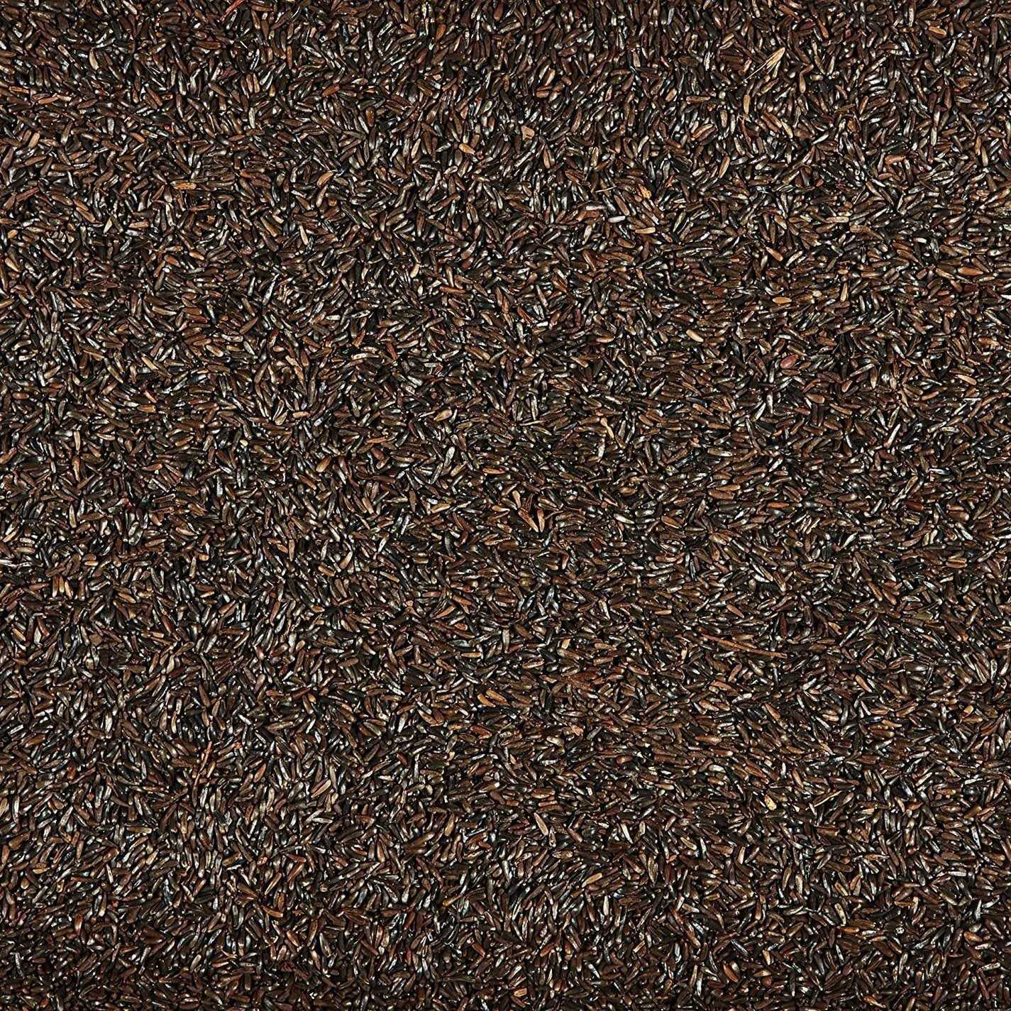 Kaytee Nyjer Seed Wild Bird Food