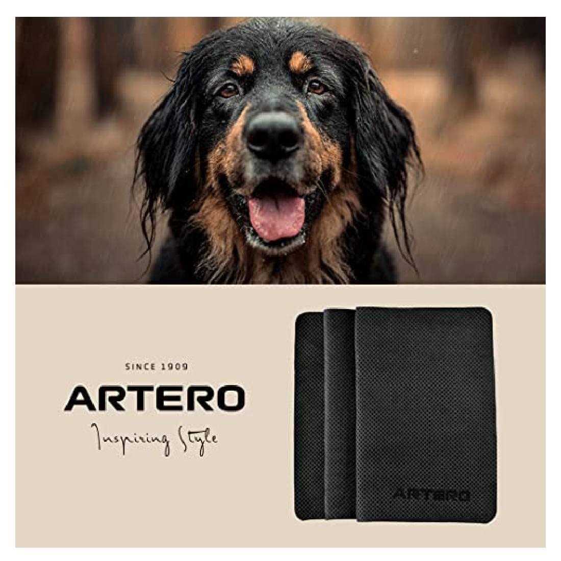 Artero Ionized Carbon Ultra-Absorbent Towel
