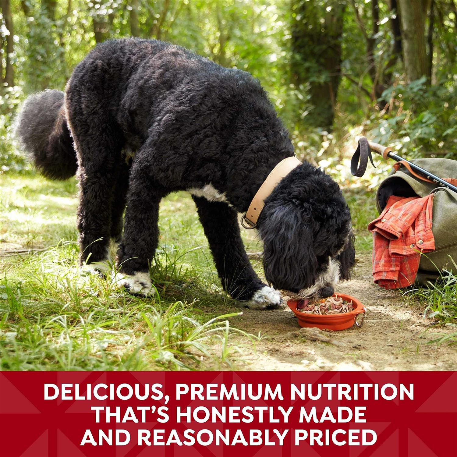 Nature’s Recipe Wet Dog Food