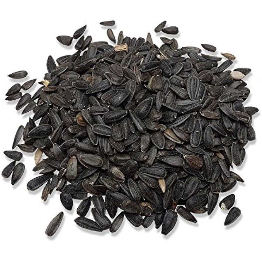 Audubon Park Black Oil Sunflower Seed Wild Bird Food 12259