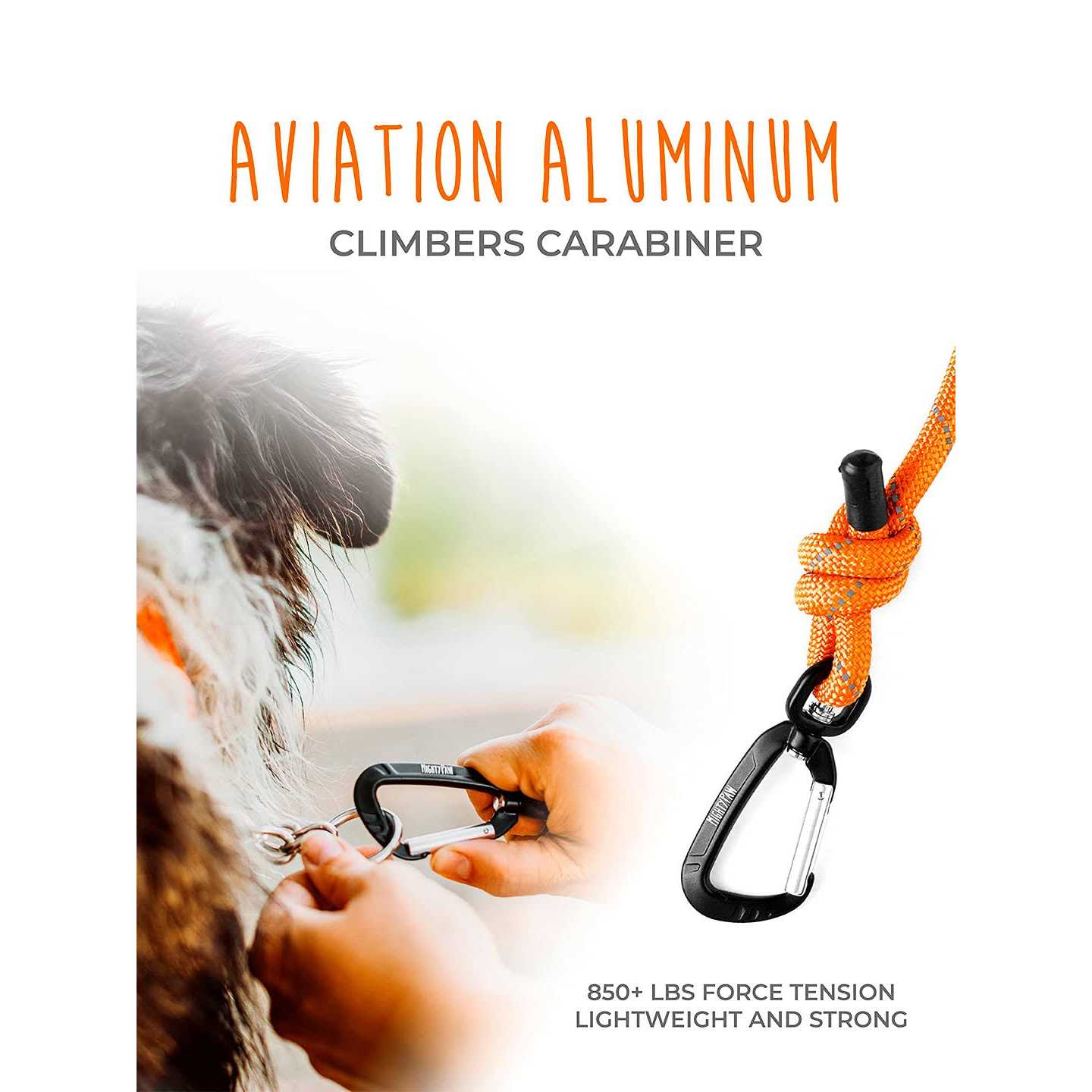 Mighty Paw Rope Dog Leash