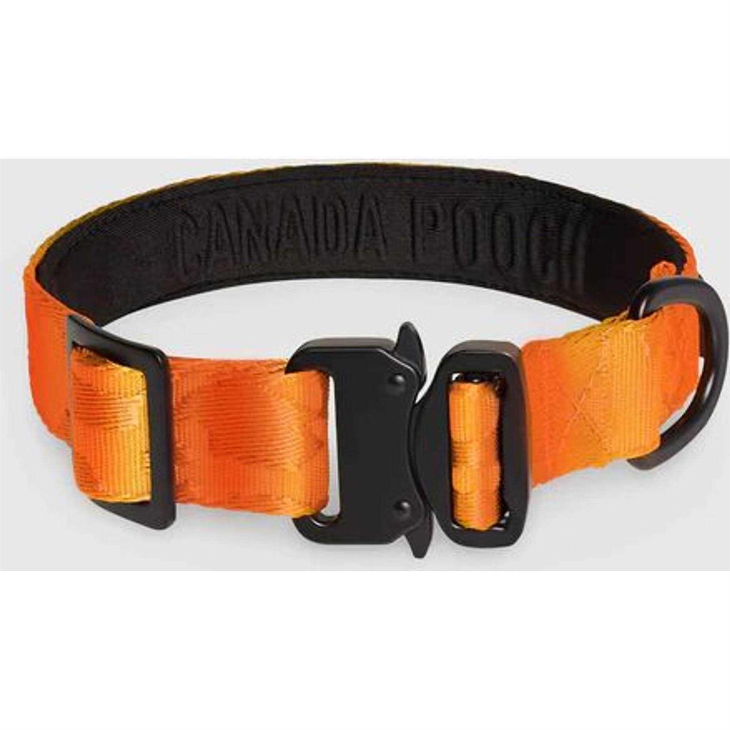 Canada Pooch Utility Dog Collar