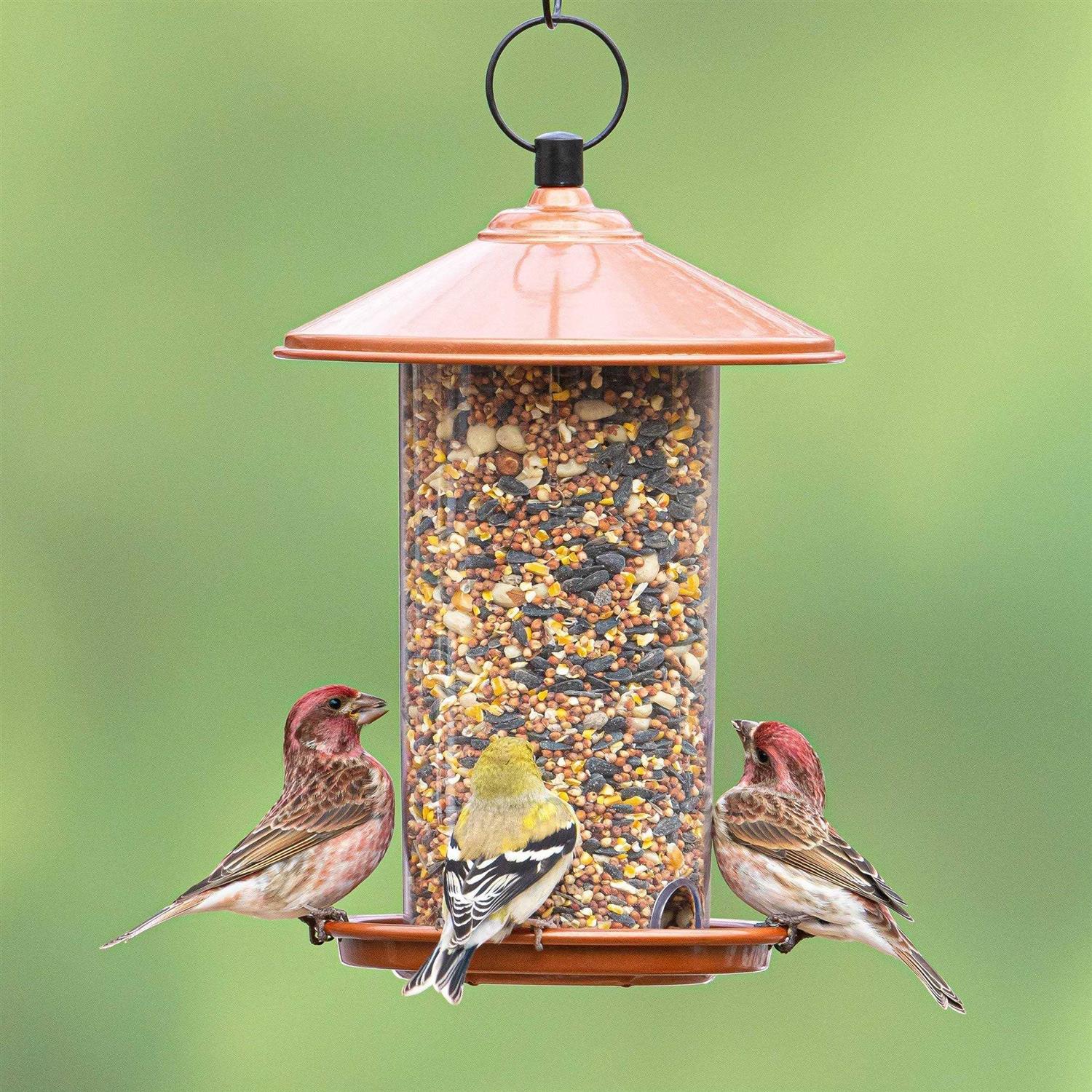 Global Harvest Food Audubon Peanut & Sunflower Wild Bird Feed