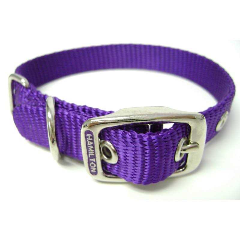 Hamilton Thick Nylon Dog Collar