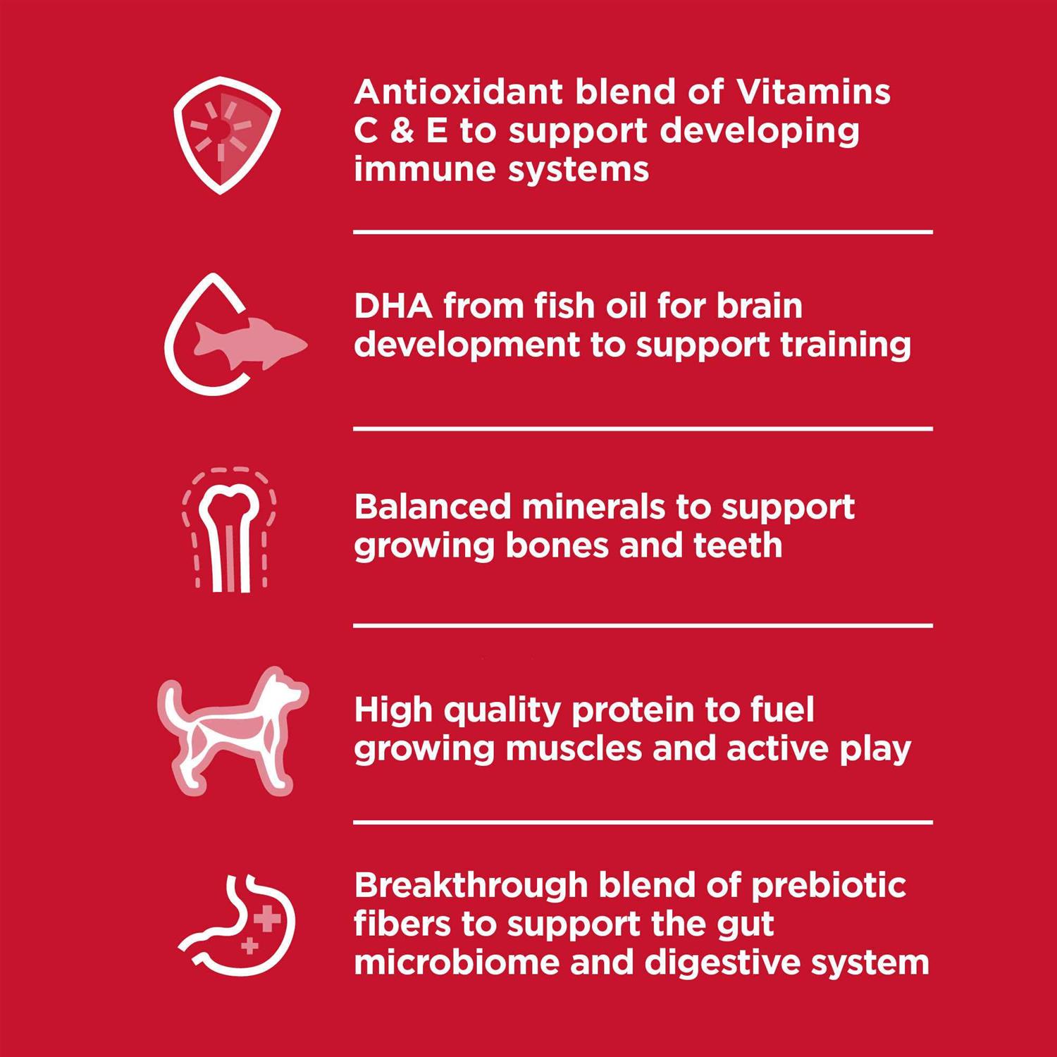 Hill’s Science Diet Puppy Small Dry Dog Food