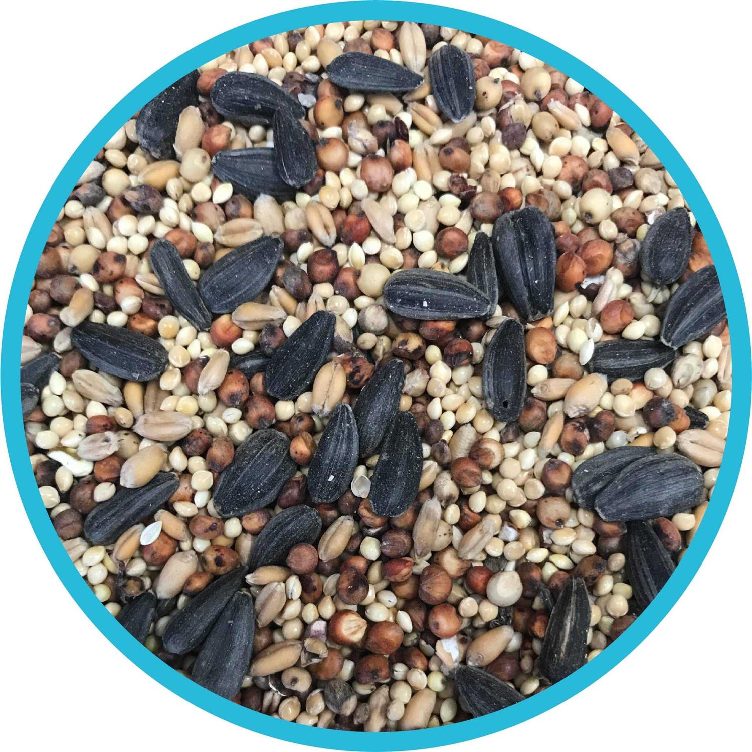 Pennington Classic Wild Bird Feed and Seed