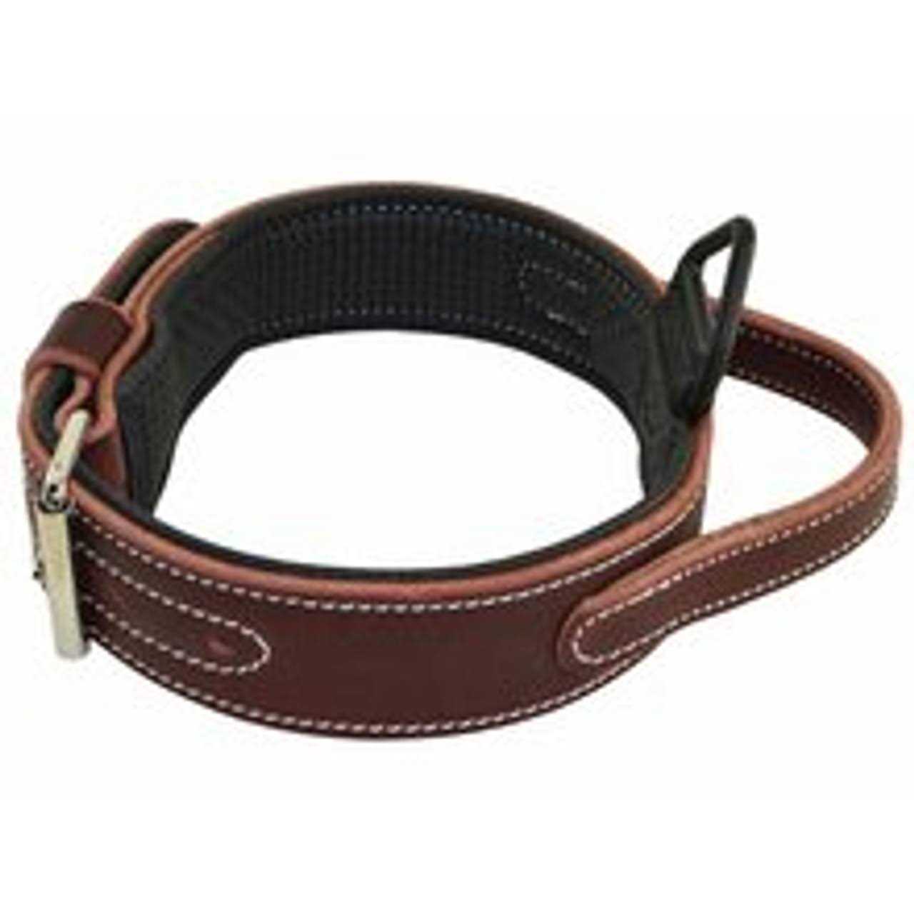 Ultimate Padded Leather Agitation Collar