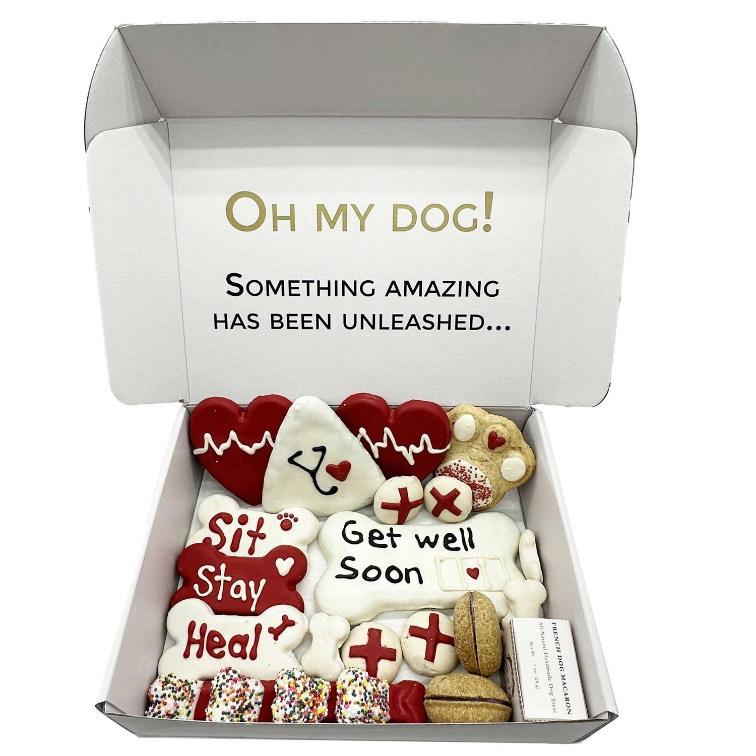 Bonne et Filou Get Well Soon Themed Dog Treats Gift Box