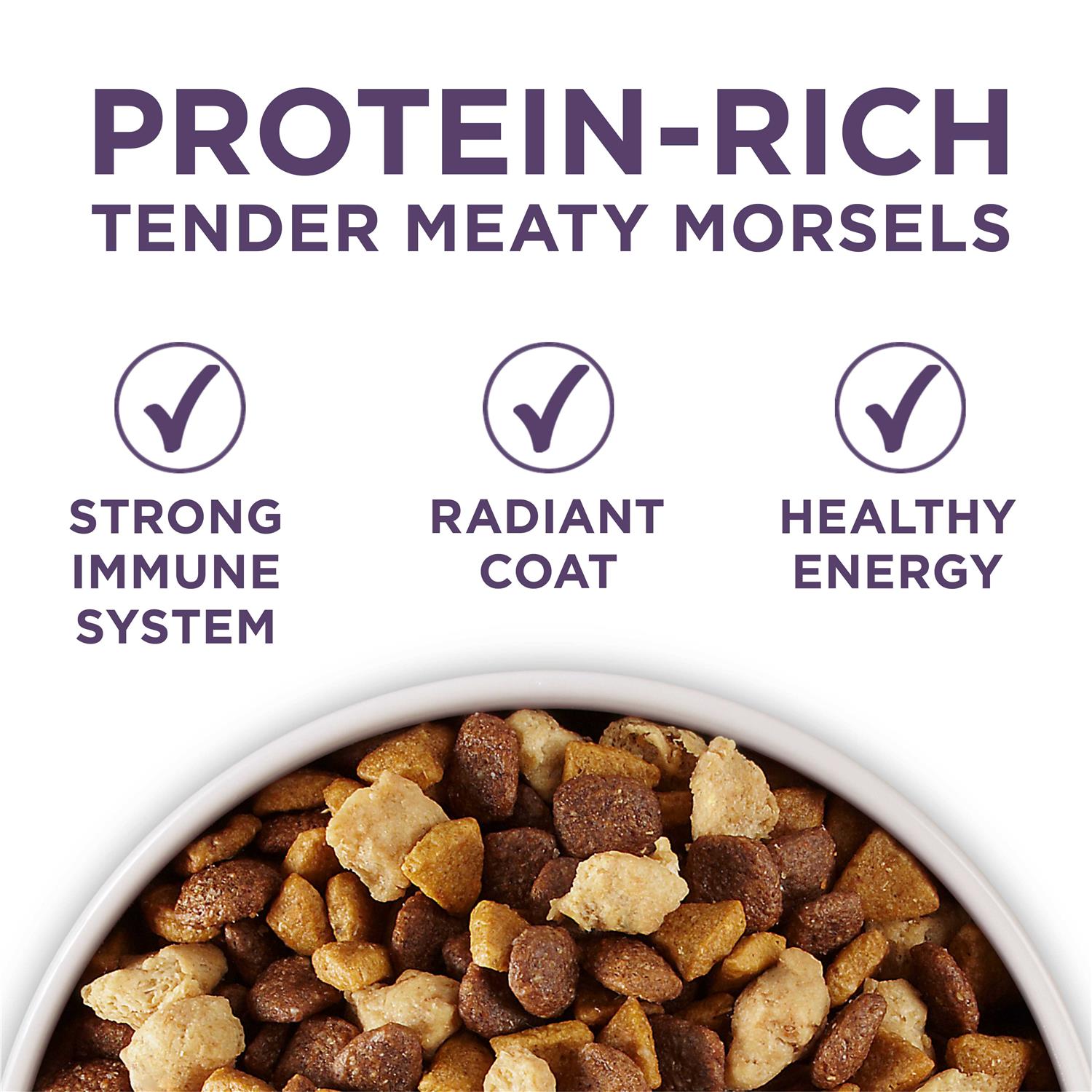 Purina ONE Plus Vibrant Maturity Adult Dry Dog Food Senior