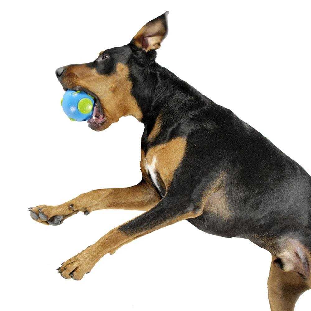 Planet Dog Orbee Tuff Ball Blue