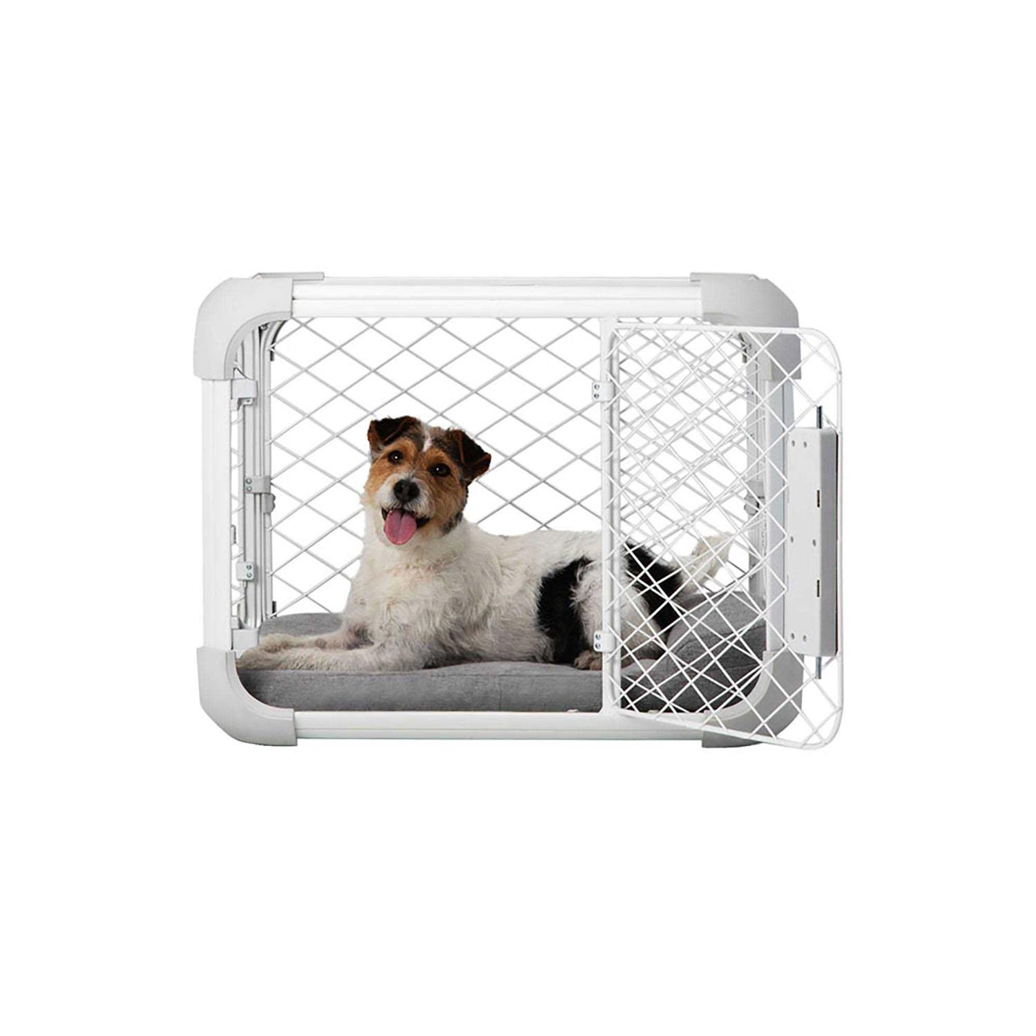 Diggs Evolv Dog Crate