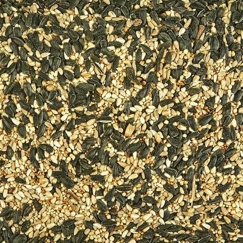 Kaytee Regional Blend Wild Bird Food