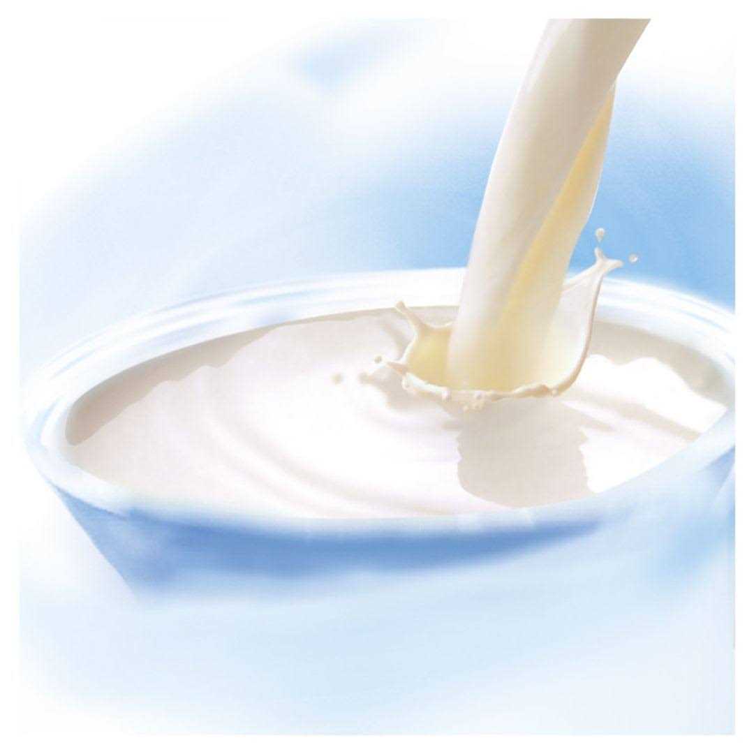 Whiskas Cat Milk