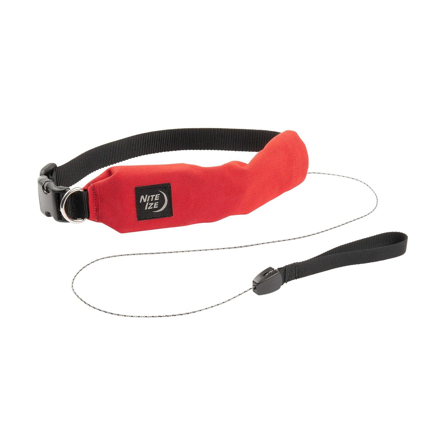 Nite Ize RadDog All-In-One Collar and Leash