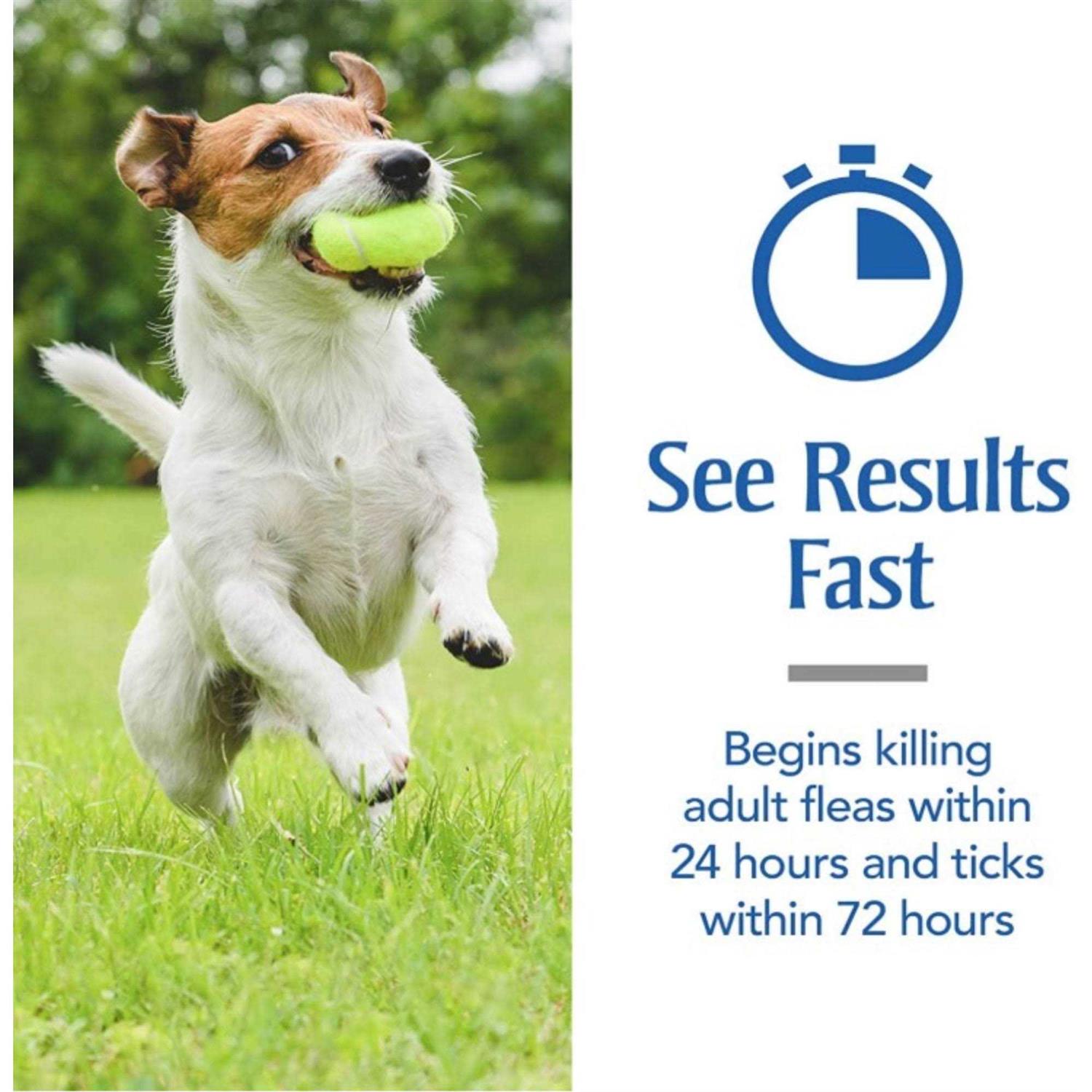 PetArmor Plus Oatmeal Shampoo for Dogs