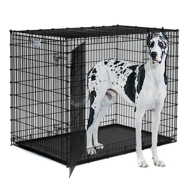 Midwest Solution Series Double Door Dog Crate