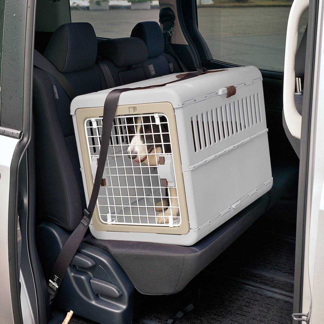 Richell Foldable Pet Carrier