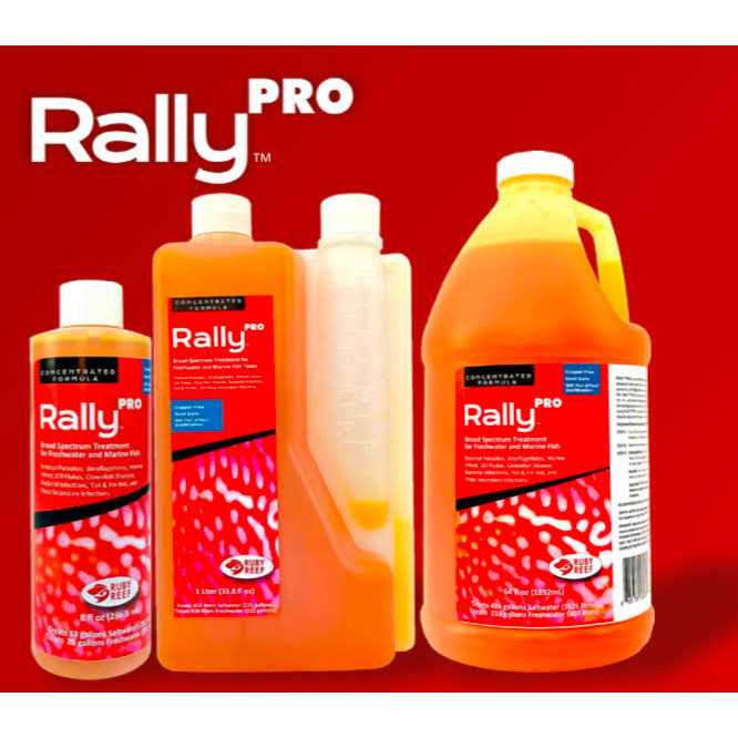 Ruby Reef Rally Pro