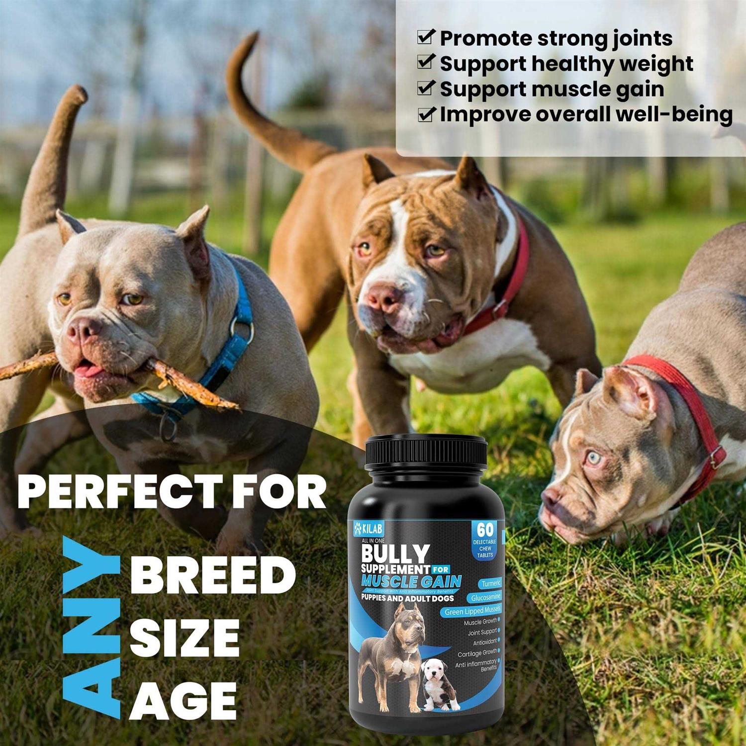 Kilab Dog Weight Gainer Muscle Builder Dog Supplement – Muscle Growth Supplement for Dogs, Puppies and Adults – Bully Growth Formula