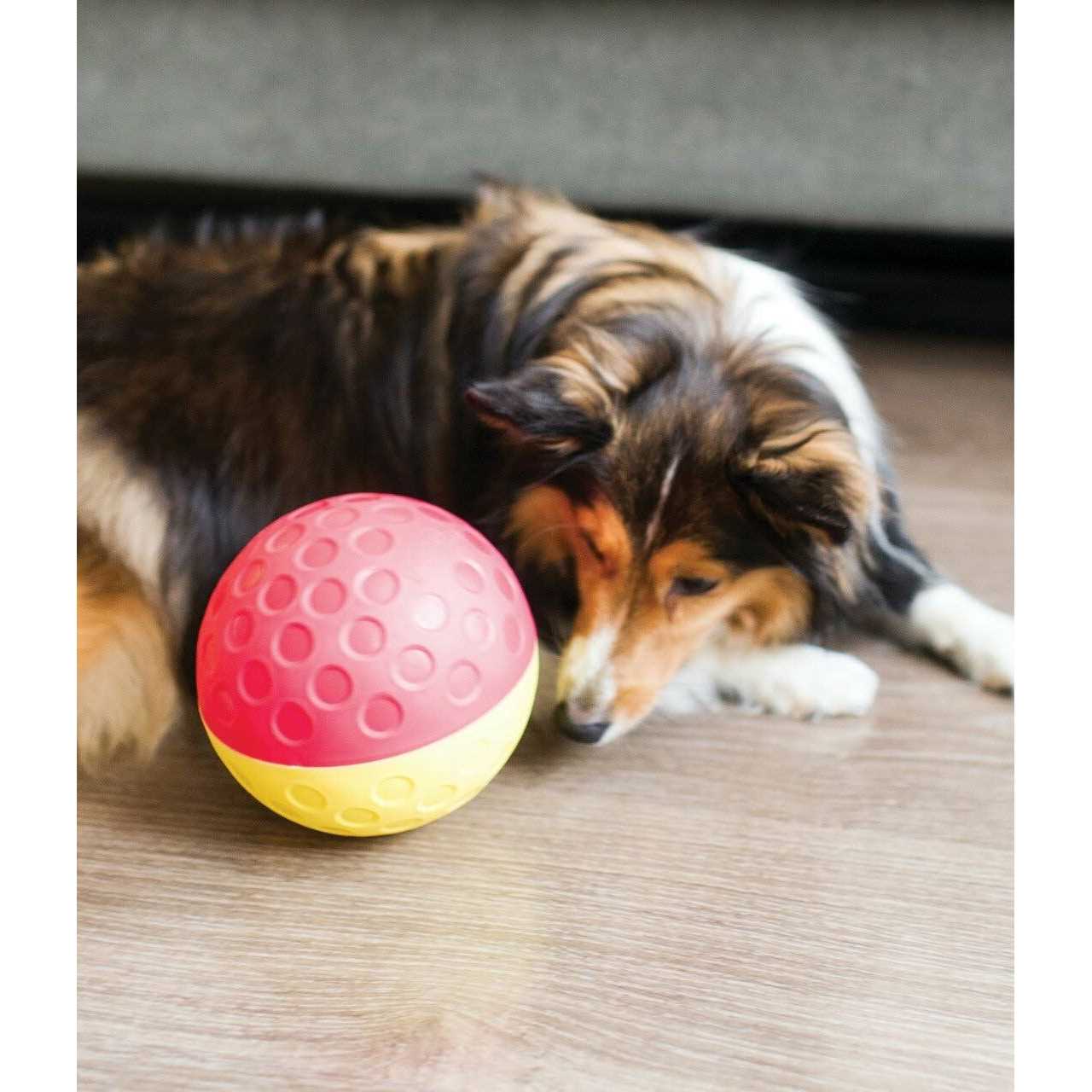 Nina Ottosson Treat Tumble Dog Toy