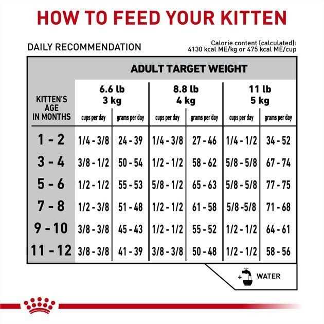 Royal Canin Veterinary Diet Feline Gastrointestinal Kitten Dry Cat Food