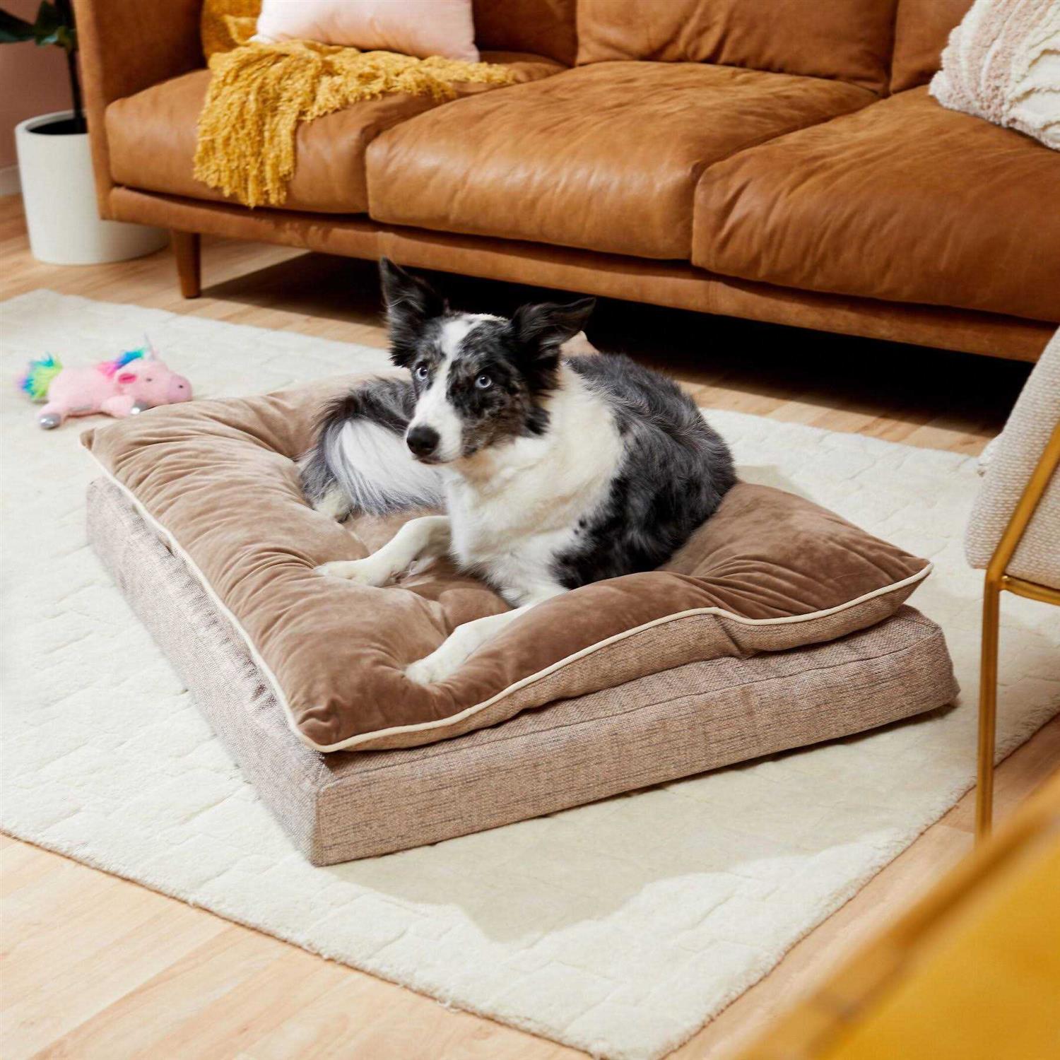 Frisco Plush Orthopedic Pillowtop Dog Bed w/Removable COVER