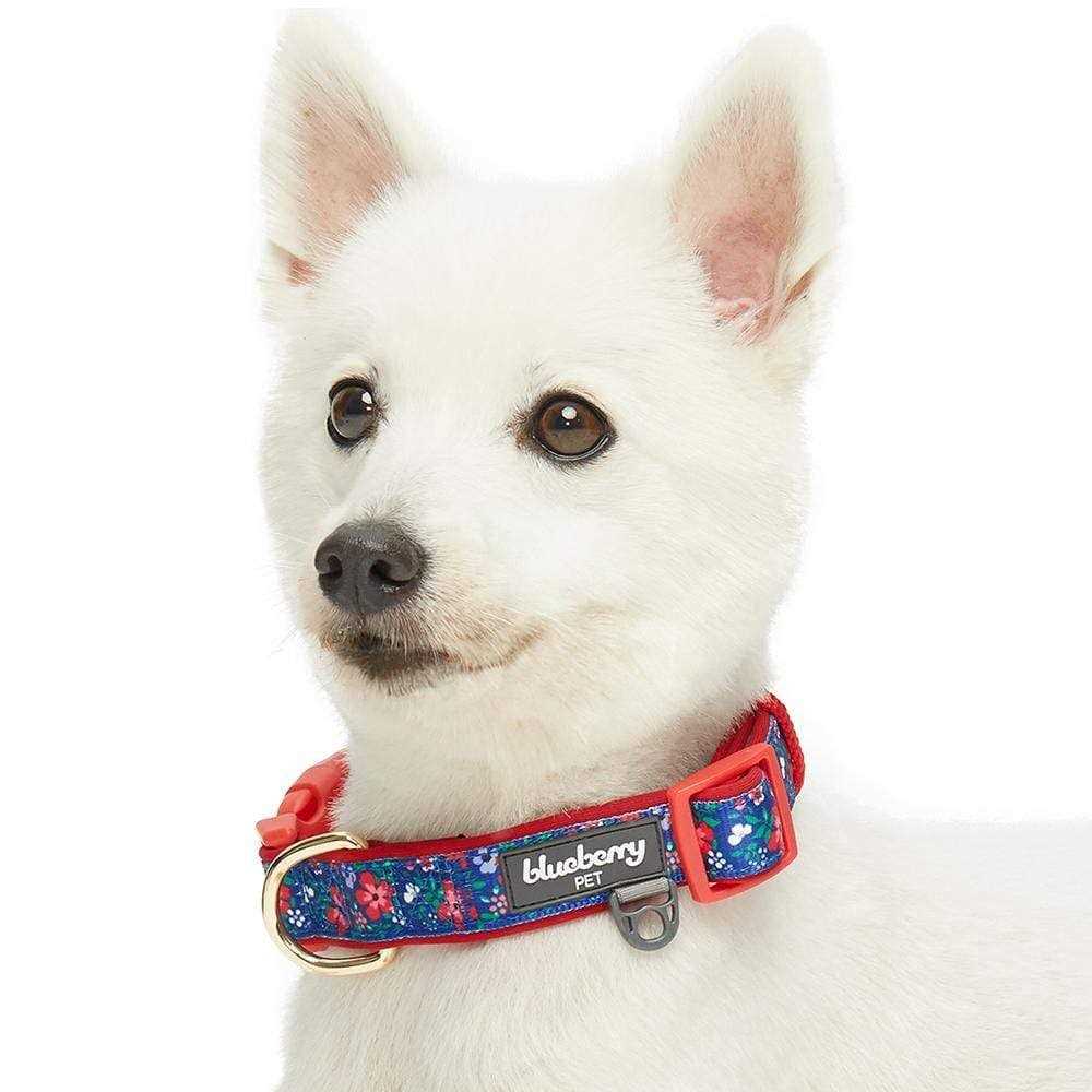 Blueberry Pet Dog Collar