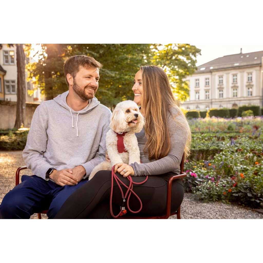 Curli Clasp Vest Air-Mesh Dog Harness