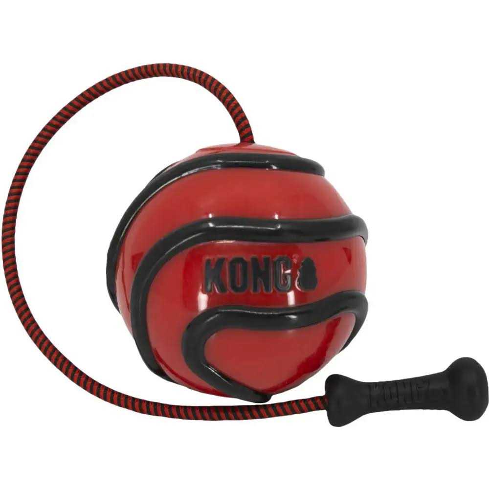 KONG Wavz Bunji Ball Dog Toy Large