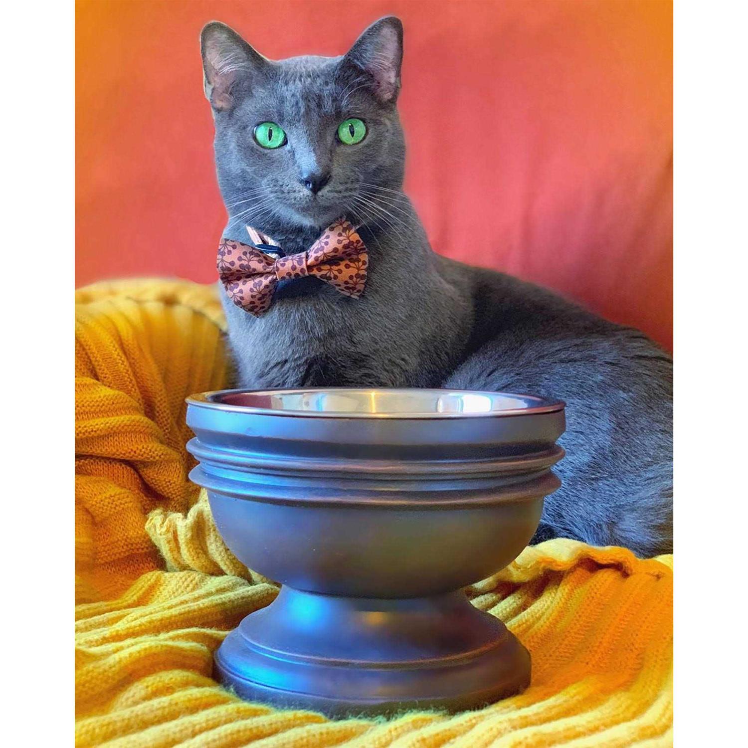 Pet Junkie Summit Elevated Dog Bowl for Food or Water