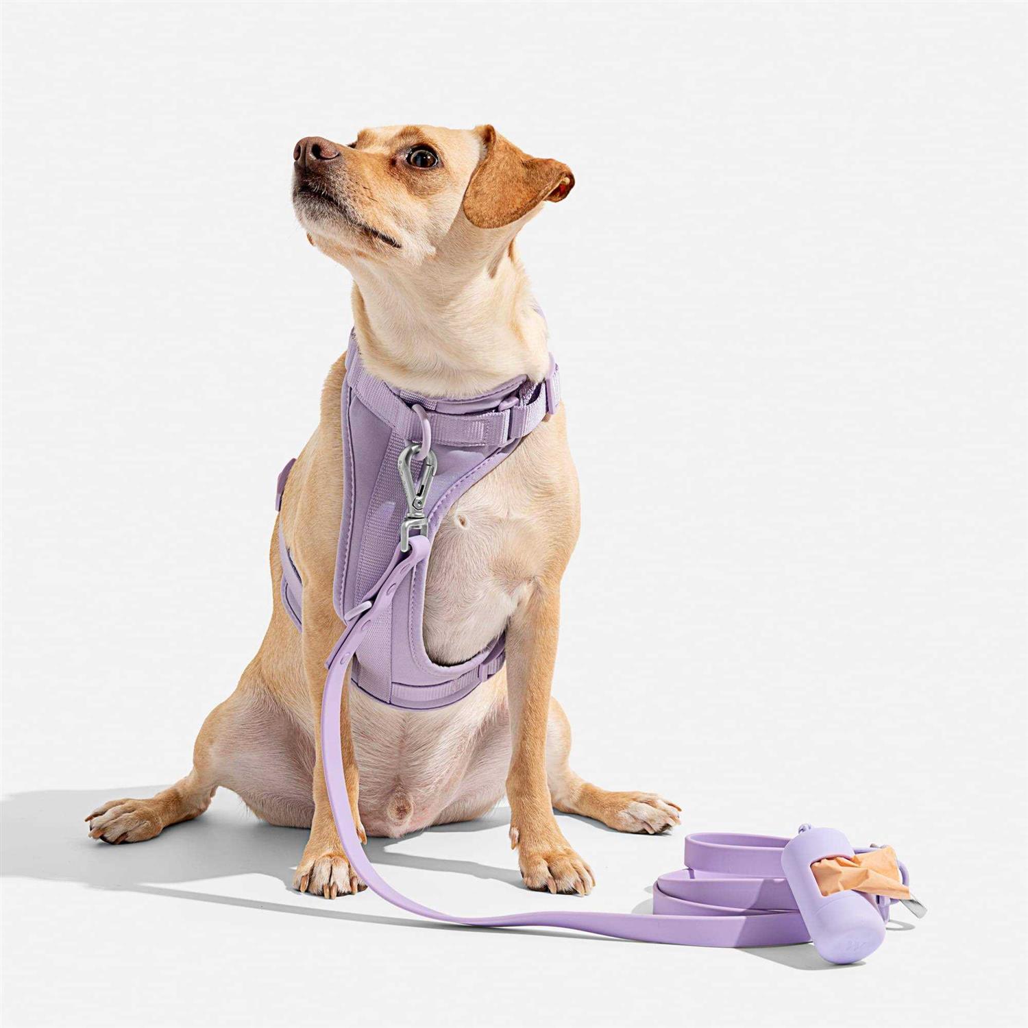 Wild One Dog Harness