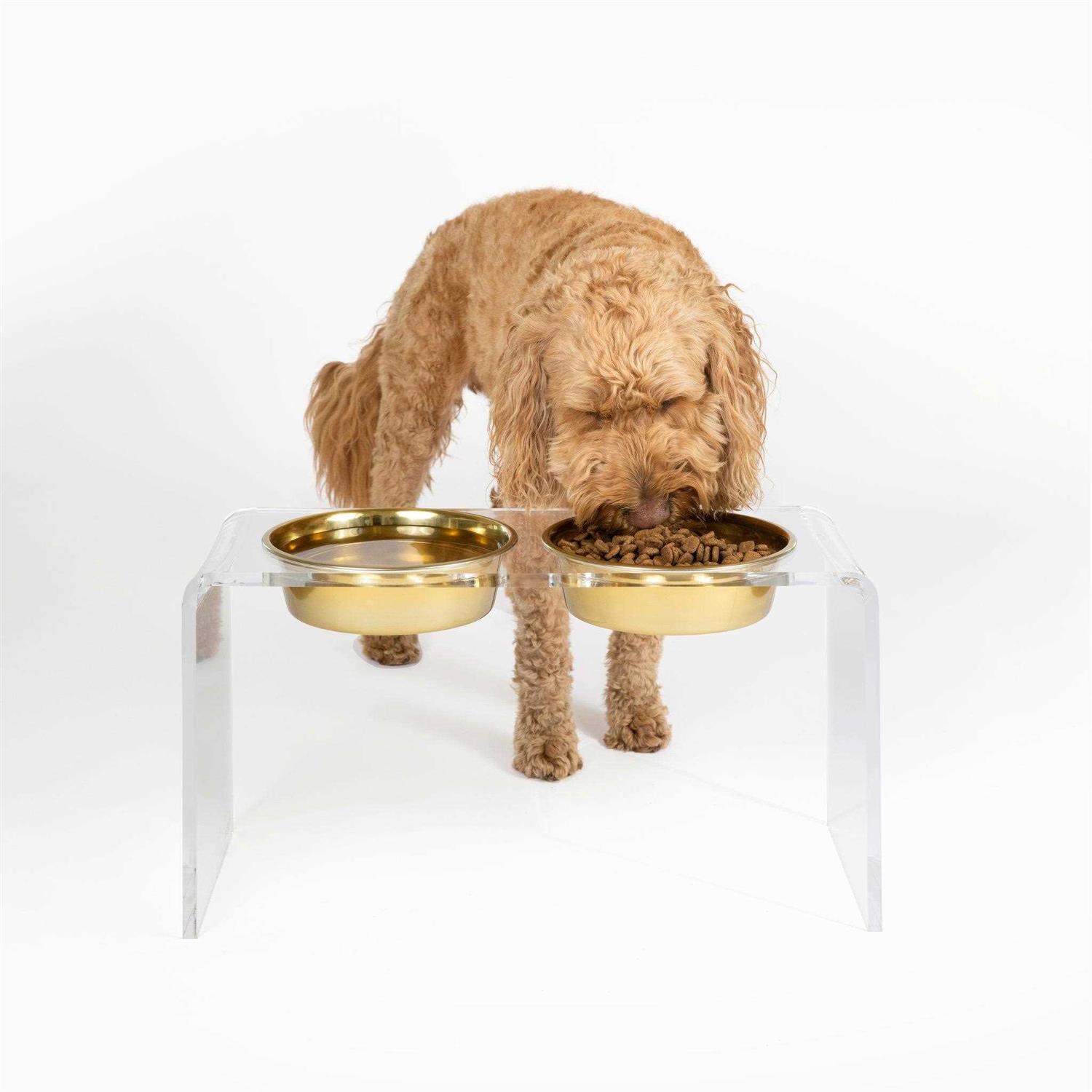 Hiddin Large Clear Double Bowl Pet Feeder