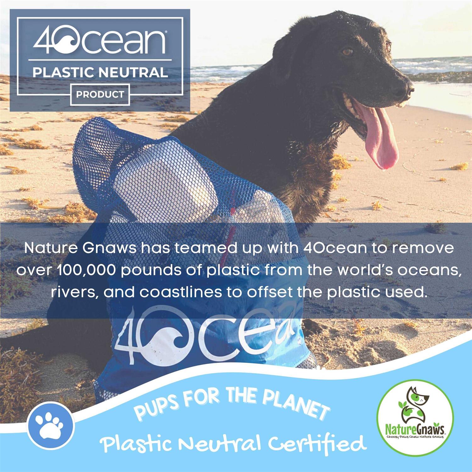 Nature Gnaws Beef Tendon Natural Dog Chews