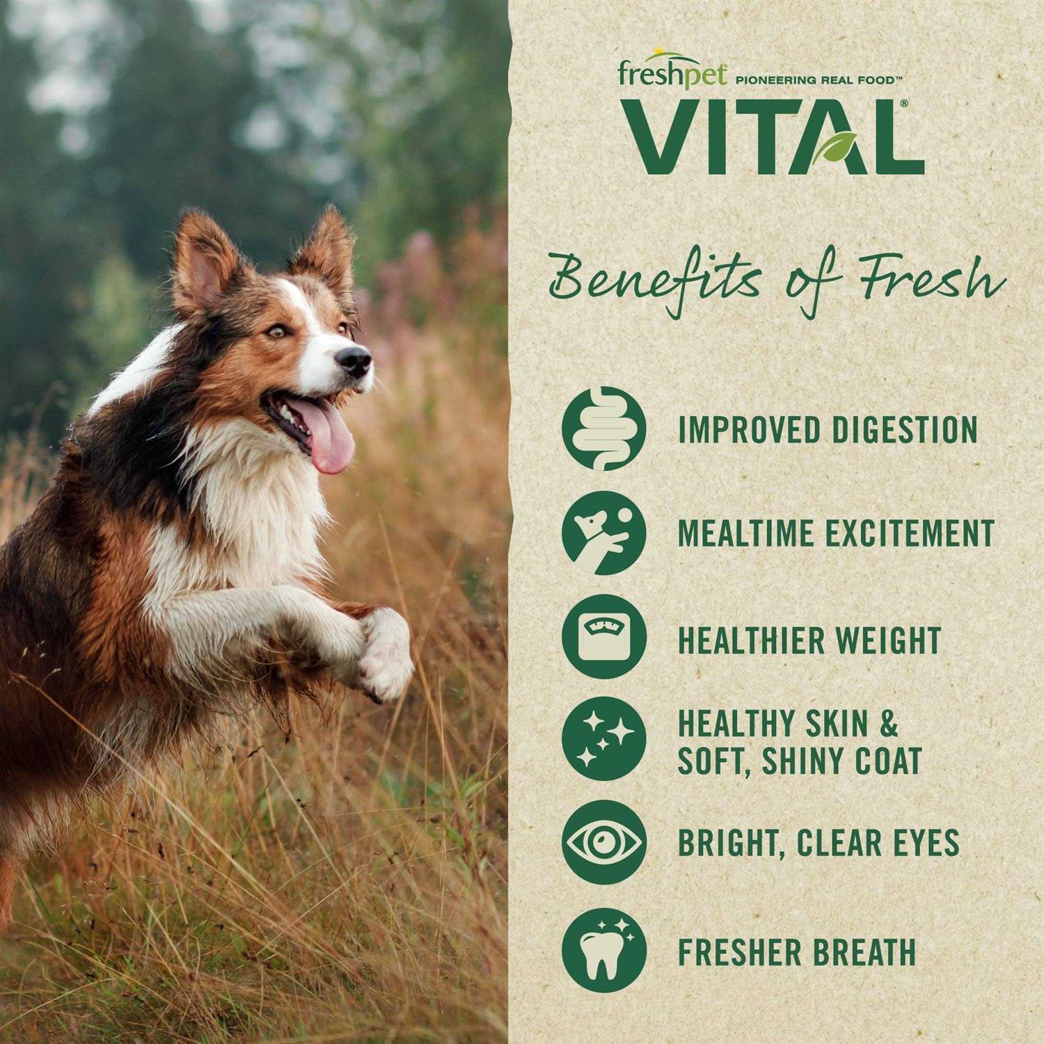 Freshpet Vital Grain Free Puppy Food