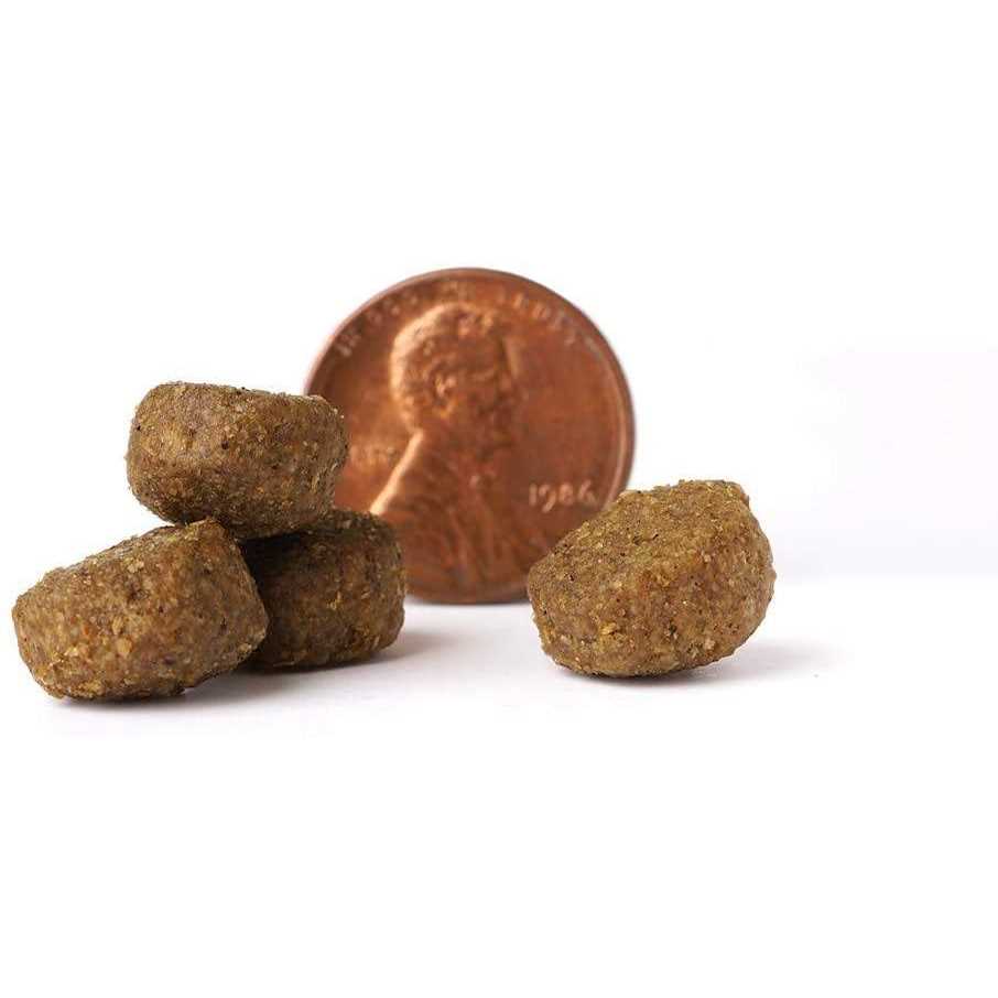 Victor Select Ocean Fish Formula Dry Dog Food