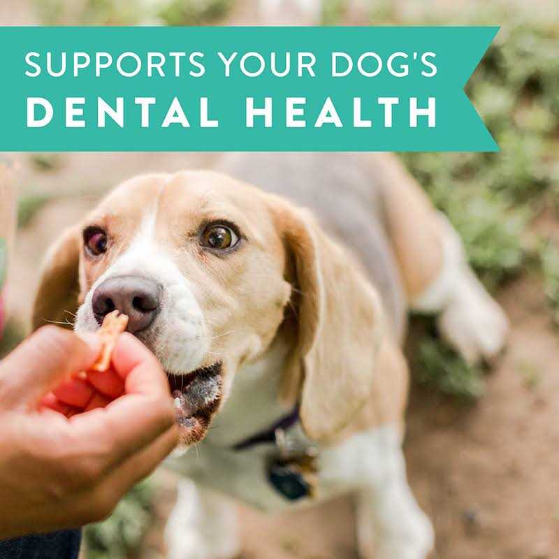 Dogswell Dental Jerky Chicken Dog Treats